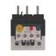 Overload relay, ZB65, Ir= 16 - 24 A, 1 N/O, 1 N/C, Direct mounting, IP00 thumbnail 5