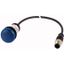 Indicator light, Flat, Cable (black) with M12A plug, 4 pole, 1 m, Lens Blue, LED Blue, 24 V AC/DC thumbnail 1