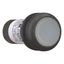 Illuminated pushbutton actuator, Flat, maintained, 1 N/O, Screw connection, LED white, White, Blank, 230 V AC, Bezel: black thumbnail 6