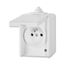 5598-2929B Socket outlet with earthing pin, with hinged lid, with surge protection thumbnail 4