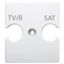 UNIVERSAL SUPPORT - COMBINED SOCKET OUTLET TV/R-SAT - GLOSSY WHITE - CHORUSMART thumbnail 2