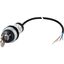 Key-operated actuator, RMQ compact solution, momentary, 2 NC, Cable (black) with non-terminated end, 4 pole, 3.5 m, 3 positions, MS1, Bezel: titanium thumbnail 4