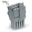 1-conductor female connector Push-in CAGE CLAMP® 4 mm² gray thumbnail 2