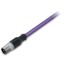 PROFIBUS cable M12B plug straight 5-pole violet thumbnail 3
