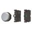 Illuminated pushbutton actuator, RMQ-Titan, flush, momentary, white, Blister pack for hanging thumbnail 10