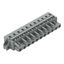 1-conductor female connector CAGE CLAMP® 2.5 mm² gray thumbnail 1