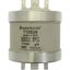 Fuse-link, low voltage, 710 A, AC 550 V, DC 250 V, BS88, 83 x 112 mm, gL/gG, BS thumbnail 18