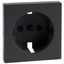 Central plate for SCHUKO socket-outlet insert, shutter, anthracite, System M thumbnail 1
