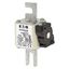 Fuse-link, high speed, 630 A, AC 690 V, compact DIN 1, 45 x 59 x 104 mm, aR, DIN, IEC, single indicator thumbnail 6