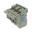 Fuse-holder, low voltage, 50 A, AC 690 V, 14 x 51 mm, 3P, IEC, With indicator thumbnail 5