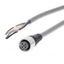 Sensor cable, M12 straight socket (female), 5-poles, A coded, PVC stan thumbnail 1