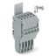 1-conductor female connector Push-in CAGE CLAMP® 1.5 mm² gray thumbnail 4