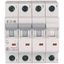 Miniature circuit breaker (MCB), 50 A, 3p+N, characteristic: B thumbnail 2