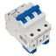 Miniature Circuit Breaker (MCB) AMPARO 10kA, D 16A, 3-pole thumbnail 3