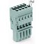 1-conductor female connector CAGE CLAMP® 4 mm² gray thumbnail 1