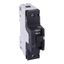 Miniature circuit-breaker, Acti9 NG125H, 1P, 16 A, D curve, 36 kA (IEC 60947-2) thumbnail 2