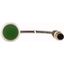 Pushbutton, classic, flat, maintained, 1 N/O, green, cable (black) with m12a plug, 4 pole, 0.2 m thumbnail 2