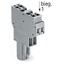 2-conductor female connector CAGE CLAMP® 4 mm² gray thumbnail 4