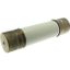 Oil fuse-link, medium voltage, 35.5 A, AC 12 kV, BS2692 F01, 63.5 x 254 mm, back-up, BS, IEC, ESI, with striker thumbnail 2