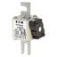 Fuse-link, high speed, 450 A, AC 690 V, compact DIN 1, 45 x 59 x 104 mm, aR, DIN, IEC, single indicator thumbnail 4