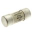 Fuse-link, LV, 25 A, AC 400 V, NH000, gFF, IEC, dual indicator, insulated gripping lugs thumbnail 3