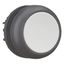 Pushbutton, RMQ-Titan, Flat, momentary, gray, Blank, Bezel: black thumbnail 8