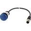 Indicator light, Flat, Cable (black) with M12A plug, 4 pole, 1 m, Lens Blue, LED Blue, 24 V AC/DC thumbnail 5