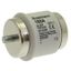 Fuse-link, low voltage, 160 A, AC 500 V, D5, 56 x 46 mm, gL/gG, DIN, IEC, time-delay thumbnail 3