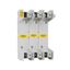 Eaton Bussmann Series RM modular fuse block, 600V, 0-30A, Screw w/ Pressure Plate, Single-pole thumbnail 5