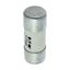 House service fuse-link, low voltage, 60 A, AC 415 V, BS system C type II, 23 x 57 mm, gL/gG, BS thumbnail 21
