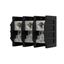 Terminal block, low voltage, 250 A, AC 600 V, DC 600 V, 2P, UL thumbnail 40