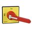 TeSys VARIO - front and red rotary handle - 1 to 3 padlocking thumbnail 3