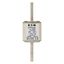 Fuse-link, high speed, 250 A, AC 660 V, compact size 1, 43 x 58 x 140 mm, aR, DIN, IEC, single indicator thumbnail 10