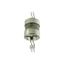 Utility fuse-link, low voltage, 32 A, AC 415 V, BS88/J, 38 x 101 mm, gL/gG, BS thumbnail 8