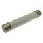 Oil fuse-link, medium voltage, 20 A, AC 12 kV, BS2692 F02, 254 x 63.5 mm, back-up, BS, IEC, ESI, with striker thumbnail 17