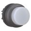 Illuminated pushbutton actuator, RMQ-Titan, Extended, momentary, White, Blank, Bezel: black thumbnail 7