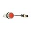 Pushbutton, Flat, momentary, 1 NC, Cable (black) with M12A plug, 4 pole, 0.2 m, red, Blank, Bezel: titanium thumbnail 16
