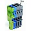 1-conductor female connector CAGE CLAMP® 4 mm² green-yellow, blue, gra thumbnail 3