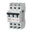 Miniature circuit breaker (MCB), 5 A, 3p, characteristic: C thumbnail 5