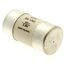 MFH 10x38 1 Pole Fuse link indicator thumbnail 4