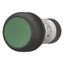 Pushbutton, Flat, maintained, 1 N/O, Screw connection, green, Blank, Bezel: black thumbnail 5