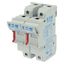 Fuse-holder, low voltage, 50 A, AC 690 V, 14 x 51 mm, 1P + neutral, IEC thumbnail 5