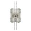 Utility fuse-link, LV, 100 A, AC 415 V, BS88/J, 38 x 101 mm, gL/gG, BS, 76mm fixing centres thumbnail 26