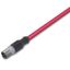 sercos cable M12D plug straight 4-pole red thumbnail 1