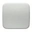 2506-212-507 Cover Plates (partly incl. Insert) Switch/push button Single rocker Without imprint white - Busch-Duro 2000 thumbnail 1