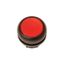 Illuminated pushbutton actuator, RMQ-Titan, Flush, momentary, red, Blank, Bezel: black thumbnail 1