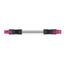 pre-assembled interconnecting cable Eca Socket/plug pink thumbnail 1