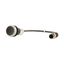 Pushbutton, Flat, momentary, 1 NC, Cable (black) with M12A plug, 4 pole, 0.2 m, black, Blank, Bezel: titanium thumbnail 9