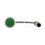 Pushbutton, Flat, momentary, 1 N/O, Cable (black) with M12A plug, 4 pole, 0.5 m, green, Blank, Bezel: titanium thumbnail 7