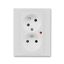 5593H-C02357 16 Double socket outlet with earthing pins, shuttered, with turned upper cavity, with surge protection thumbnail 1